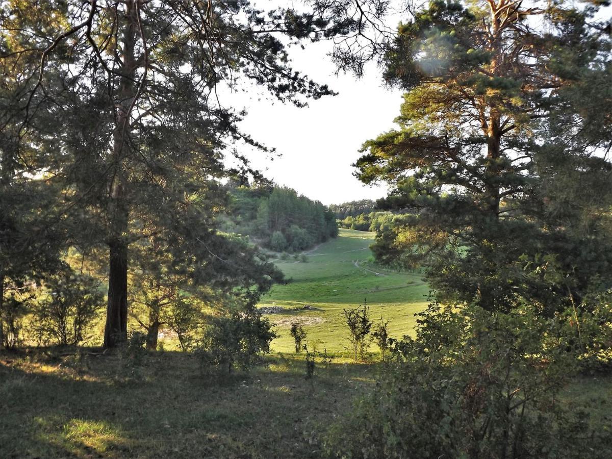 Agroturystyka Dolina23 Villa Piaski Eksteriør bilde